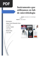 Trabajo Microbiologia