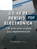 Guia de Remision Electronica