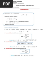 Normas de Vectores y Normas de Matrices