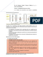 Síntesis Conceptual 1 - Mecanismos de Variabilidad y Mantenimiento Del Genoma