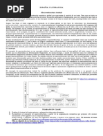 La Macroestructura 