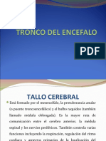 Tronco Del Encefalo