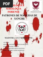 Practica de Patrones de Sangre