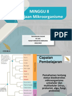 Minggu 9 - Kerajaan Mikroorganisme