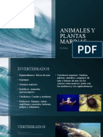 Animales Marinos