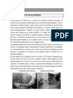 Radiología de Estómago