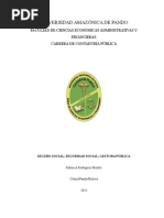 ENSAYO Seguro Social, Seguridad Social y Gestora Publica (Katiusca Rodriguez)