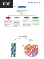 Mapas Conceptuales, Bioquimica