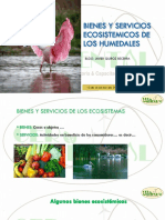 5.bienes y Servicios Ecosistemicos de Los Humedales