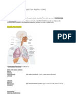 Il Sistema Respiratorio