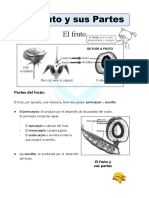 Ficha Ciencia Miercoles 21