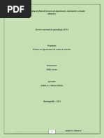 Evidencia Diagrama de Flujo Del Proceso de Importación PDF