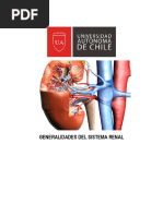 Generalidades Sistema Renal