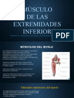 Musculos de Las Extremidades Inferior