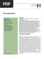 Demarin Neuroplasticidad Español