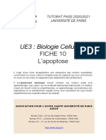 Fiche 10. Apoptose