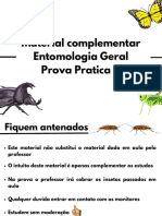 Material Complementar Entomologia Geral Prova Pratica 2-1