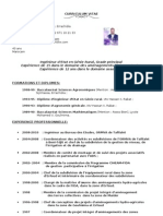 Curriculum Vitae 2