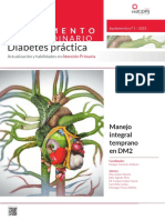 Diabetes Practica Vol 13