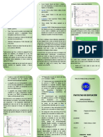 Triptico de Diagrama de Hierro Carbono