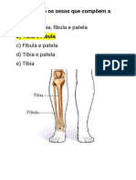 Simulado de Anatomia Certo