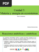 UNIDAD 3 Materia y Energia en Ecosistemas Tema 4 Ok