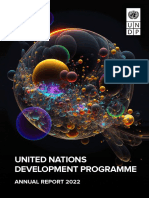 UNDP Annual Report 2022