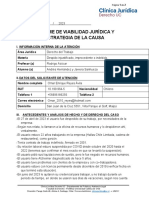 Informe de Viabilidad Jurídica y Estrategia de La Causa