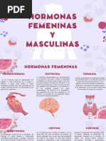 Hormonas Femeninas y Masculinas