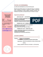 Curriculum Vitae Modelo3a Granate