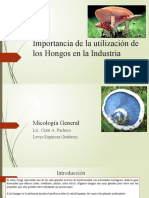 Importancia de La Utilización de Los Hongos en La Industria