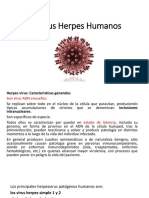 Virus Herpes Humanos