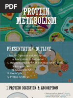 Protein Digestion & Absorption