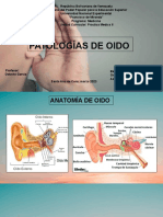 Patologias Del Oido 2