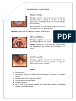 Patologias Cornea Cristalino e Iris