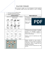 PLAN DE CUIDADO Tunel Carpiano