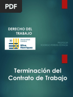 Derecho Del Trabajo 2022 UCSH Parte 6