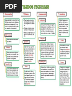 MAPA CONCEPTUAL Tejidos Vegetales