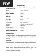 Ejemplo de Reporte Psicologico