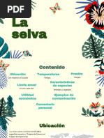 Selva 1