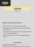 11 Operon