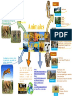 Mapa Mental Animales en Peligro de Extincion