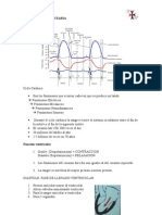 Ciclo Cardiaco