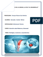 Patologías en El Sistema Reproductivo y Mamario