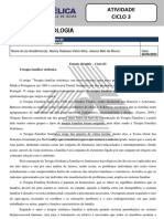 Resenha Crítica Abordagens Terapeuticas