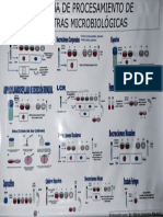 Esquema de Procesamiento Bacter