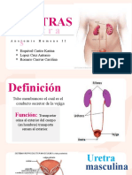 Renal Lithiasis Case Report by Slidesgo