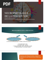 Neuropsicología de La Percepción