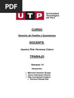 Tarea Derecho de Familia y Sucesiones - Semana 14