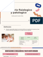 Puerperio Fisiológico y Patológico